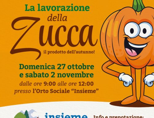 LABORATORIO DELLA ZUCCA 2024